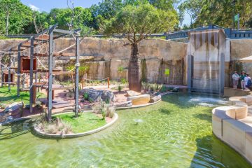 Pool project 19